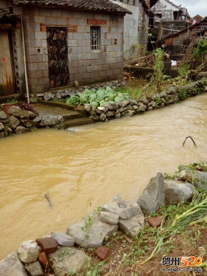 psb (16).jpg psb (16).jpg