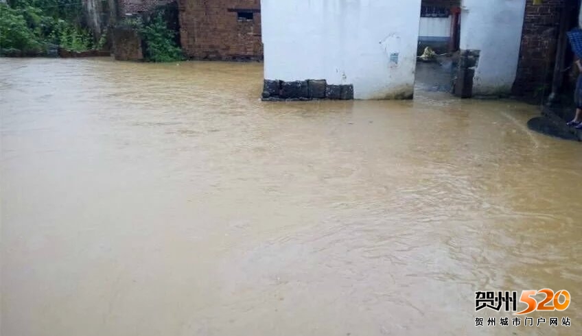 psb (3).jpg psb (3).jpg