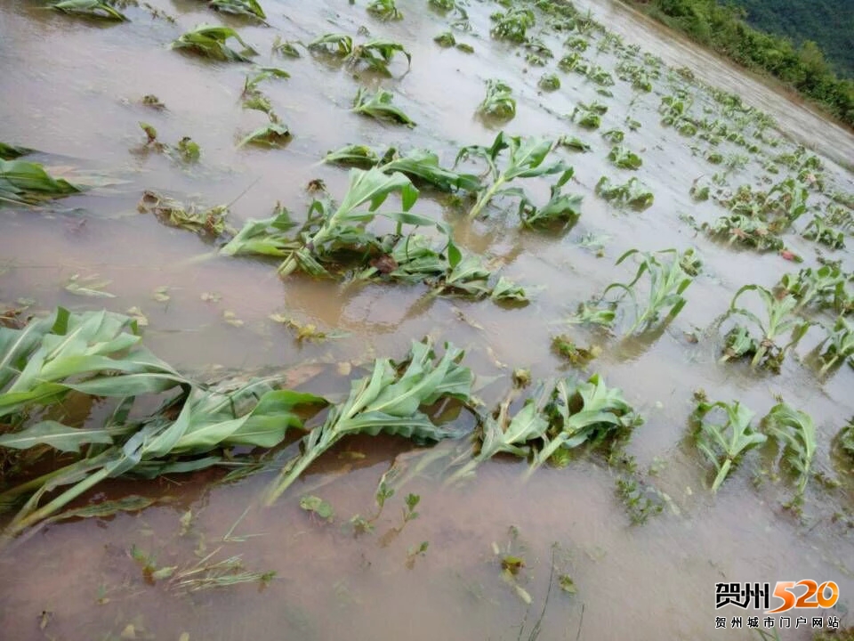 psb (17).jpg psb (17).jpg