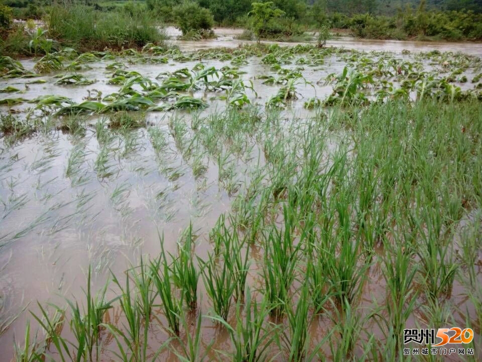 psb (18).jpg psb (18).jpg