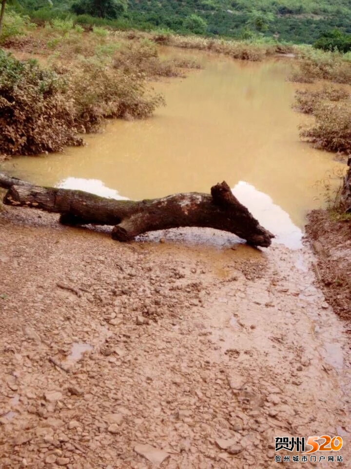 psb (11).jpg psb (11).jpg