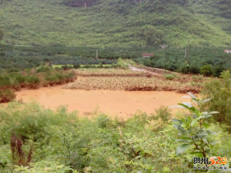 psb (9).jpg psb (9).jpg