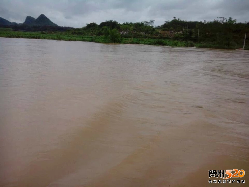 psb (8).jpg psb (8).jpg