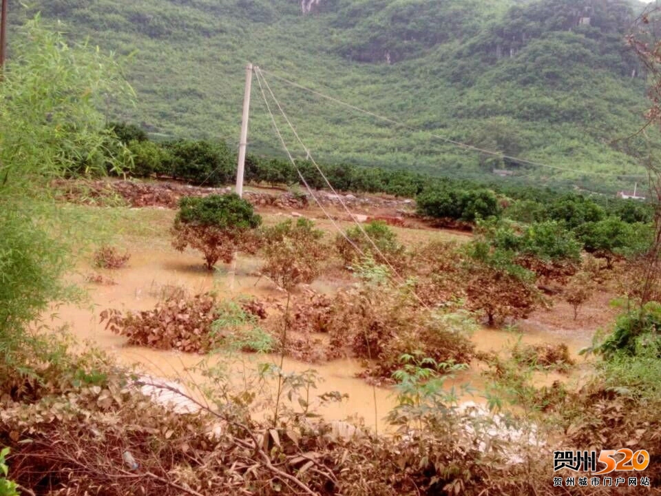 psb (13).jpg psb (13).jpg