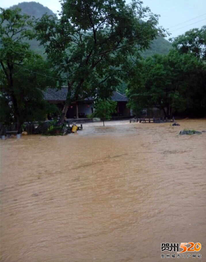 psb (5).jpg psb (5).jpg