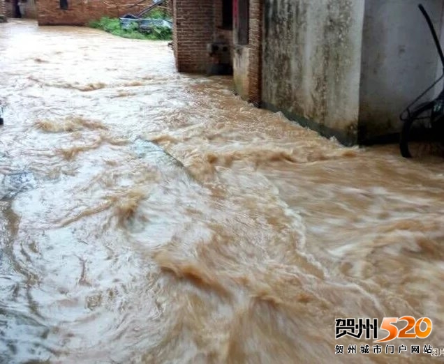 psb (4).jpg psb (4).jpg